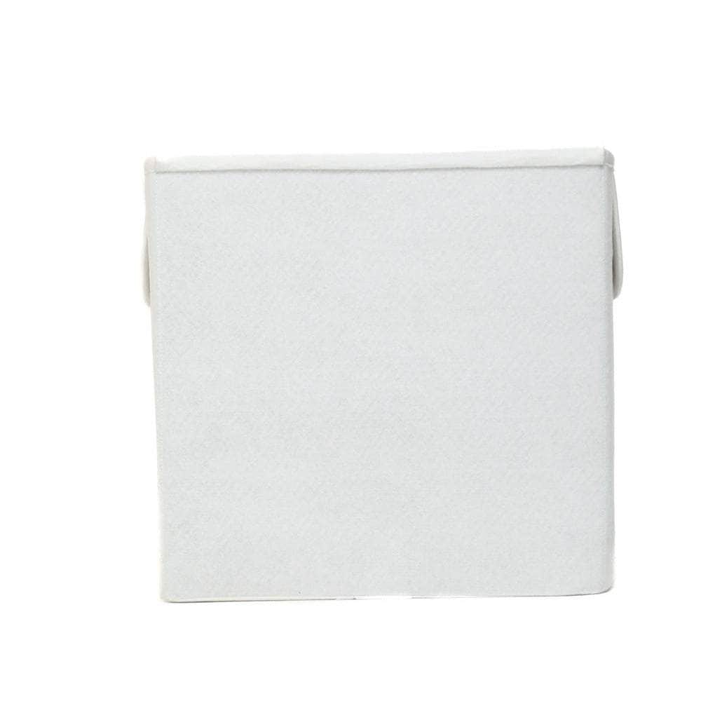 Naughty Dino - storage box (square)